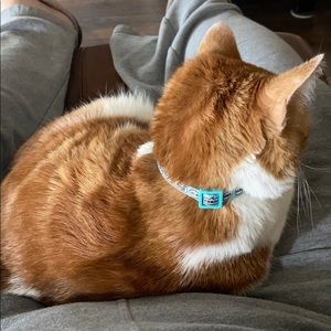 Meet your Posher, Charles